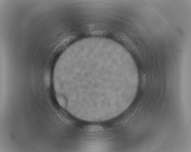 X0000115430644200912161435