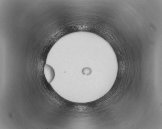 X0000115430650200912161435