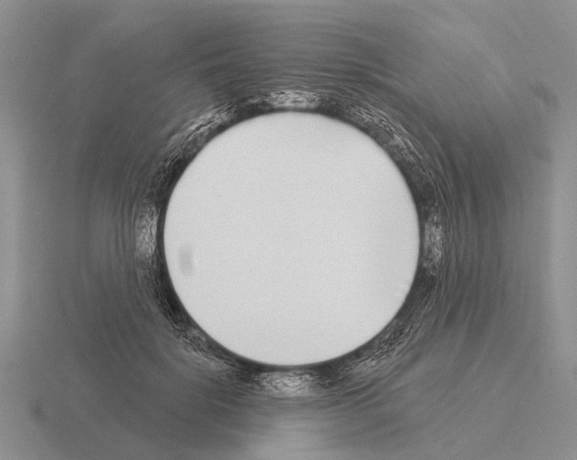 X0000115430652200912161435