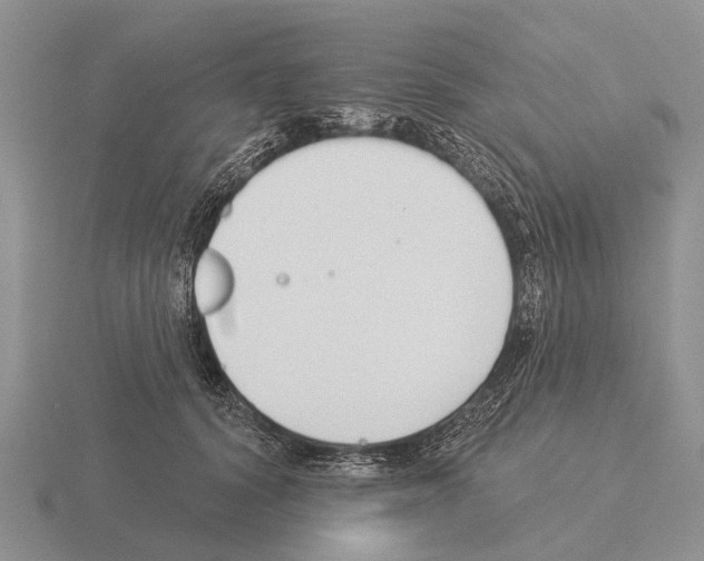 X0000115430656200912161435