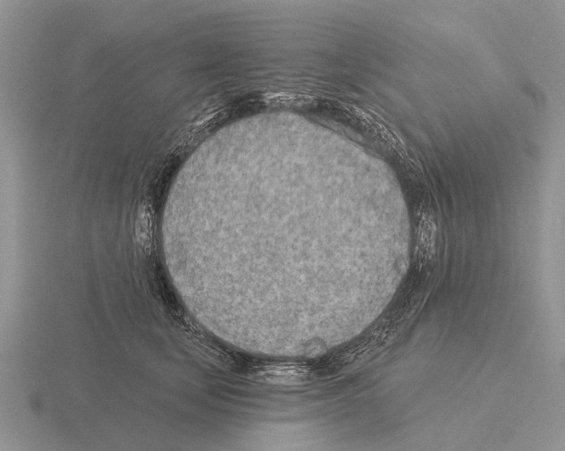 X0000115430659200912161435