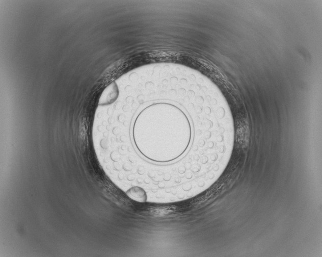 X0000115430662200912161435