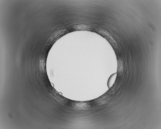 X0000115430669200912161435