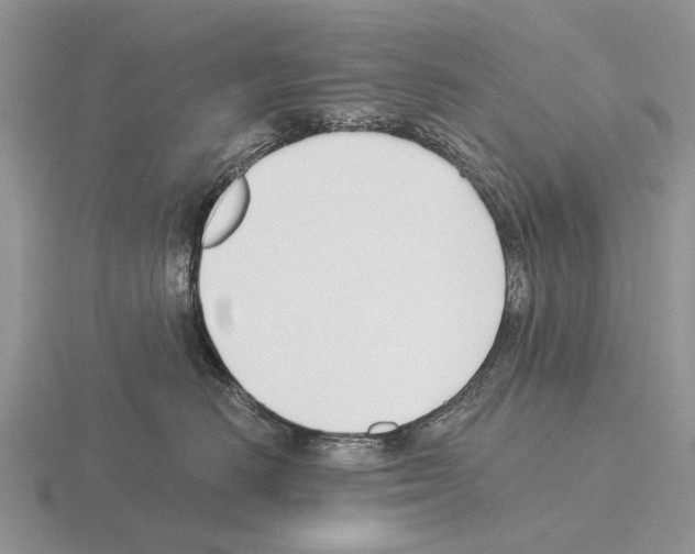 X0000115430670200912161435