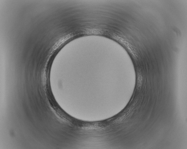 X0000115430674200912161435