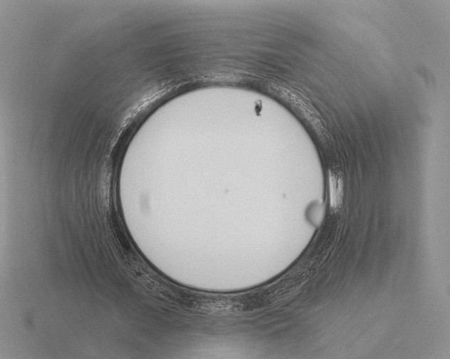 X0000115430675200912161435