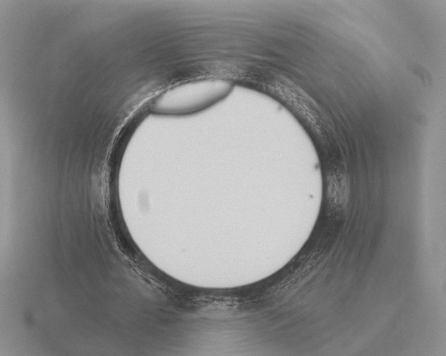 X0000115430676200912161435