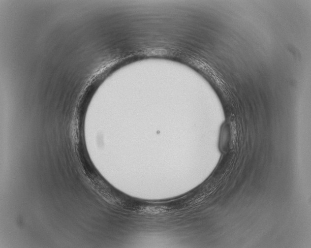 X0000115430680200912161435