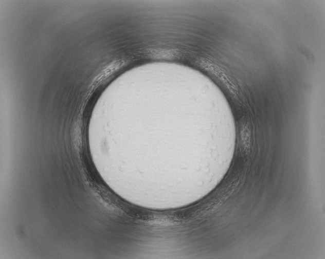 X0000115430682200912161435