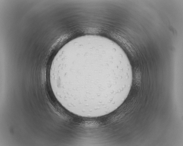 X0000115430686200912161434