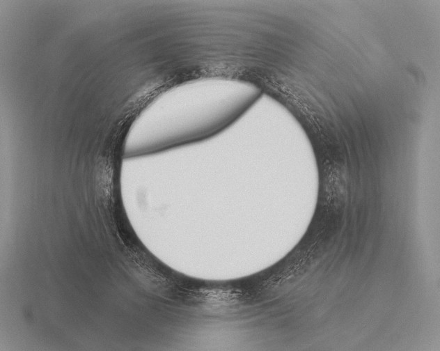 X0000115430693200912161434