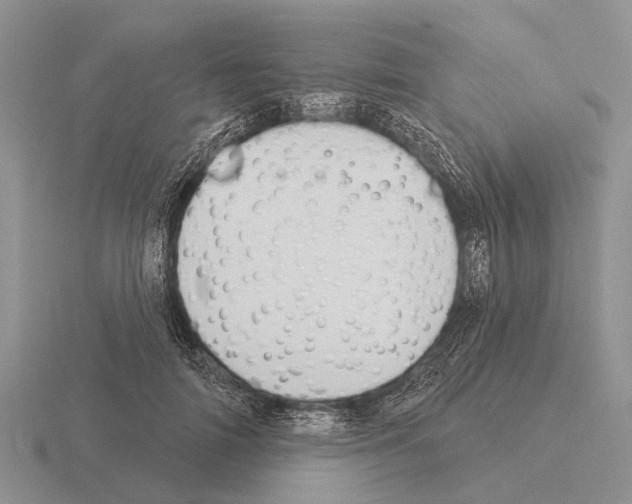 X0000115430698200912161434