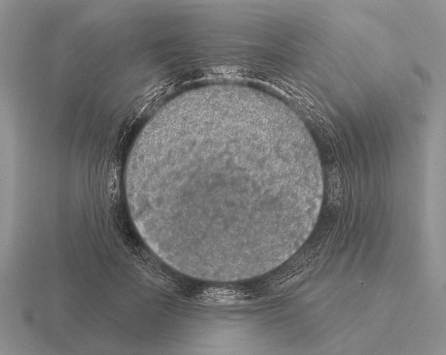 X0000115430699200912161434