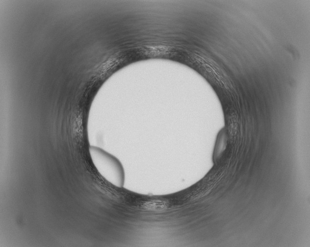 X0000115430700200912161434