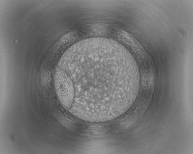 X0000115430701200912161434