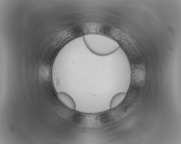 X0000115430709200912161434