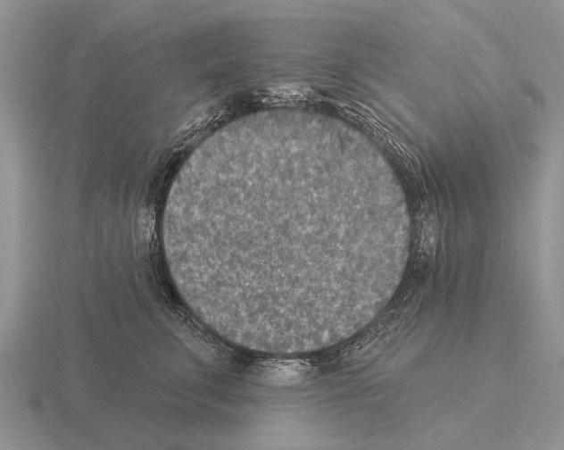 X0000115430711200912161434