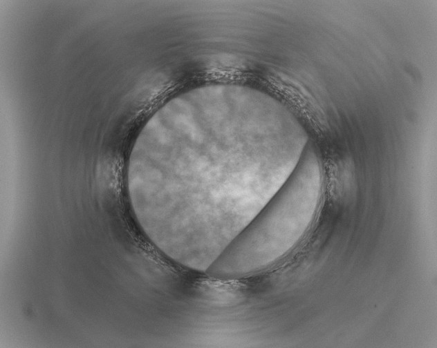 X0000115430712200912161434