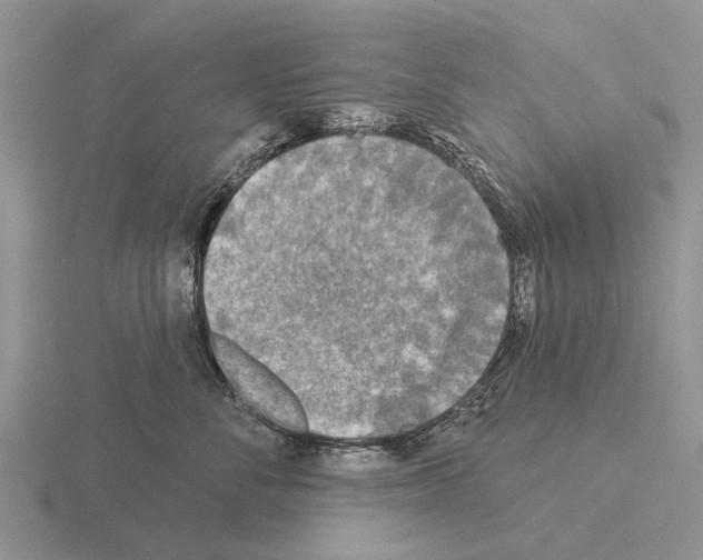 X0000115430716200912161434