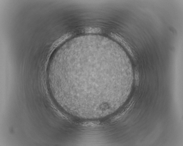 X0000115430721200912161433