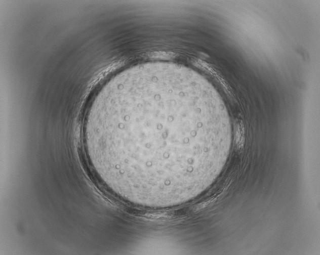 X0000115430725200912161433