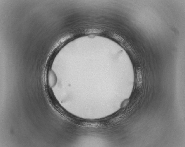 X0000115430726200912161433