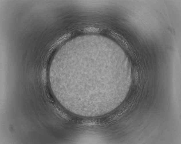 X0000115430729200912161434