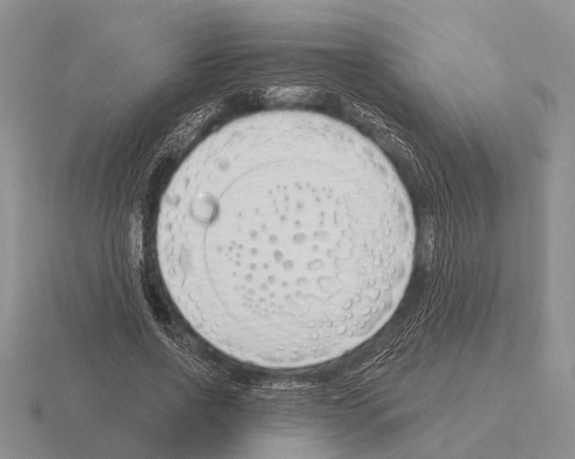 X0000115430734200912161434