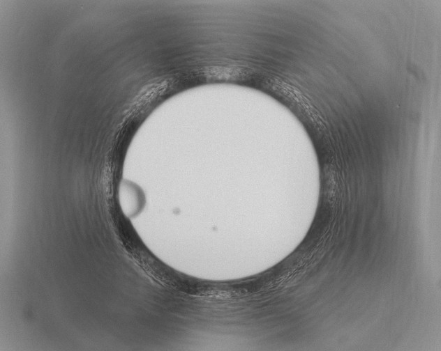 X0000115430738200912161434