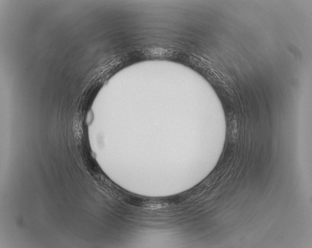 X0000115430746200912161434