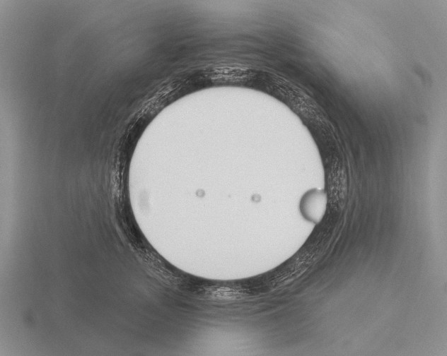 X0000115430755200912161434