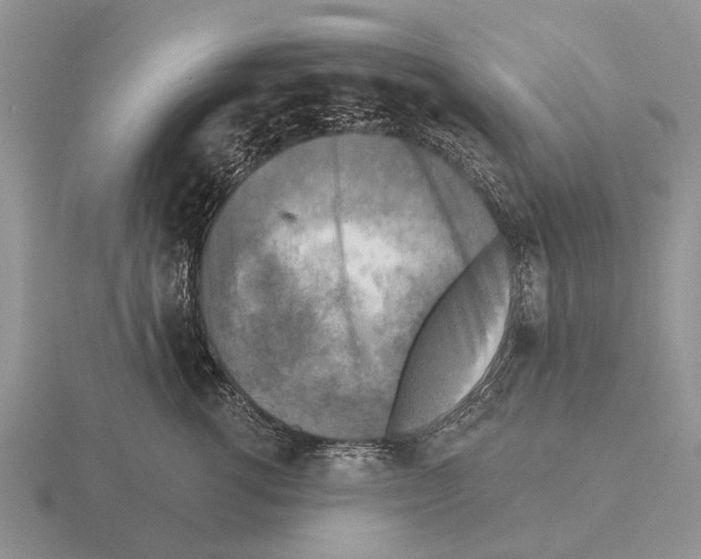 X0000115430762200912161434