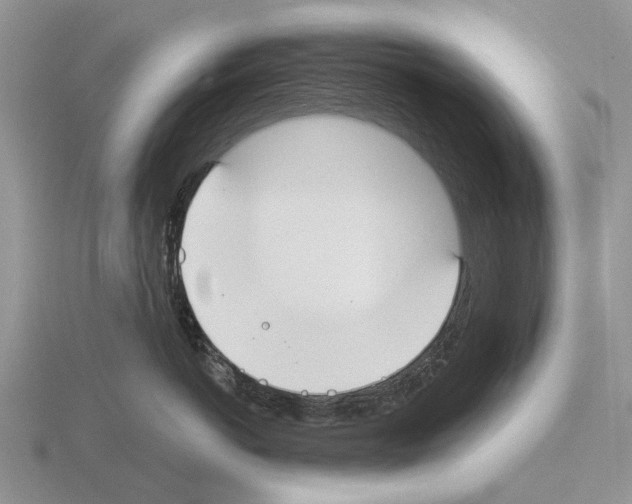 X0000115430766200912161434