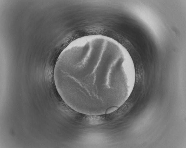 X0000115430767200912161434