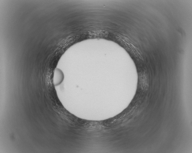 X0000115430770200912161433