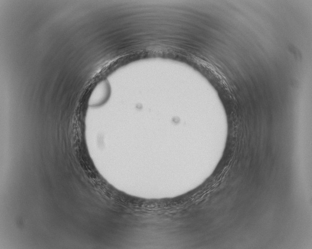 X0000115430776200912161433