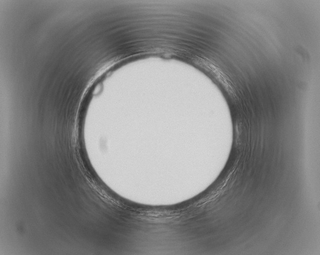 X0000115430780200912161433