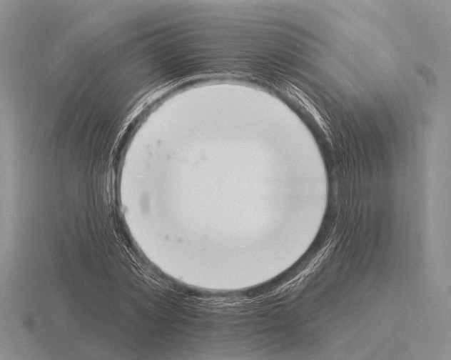 X0000115430781200912161433