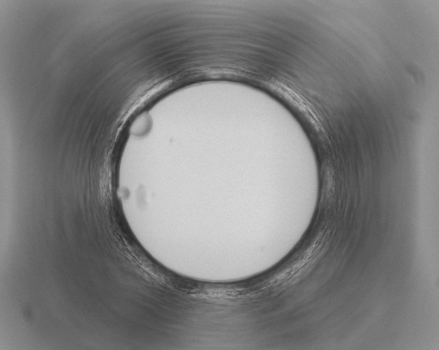 X0000115430782200912161433