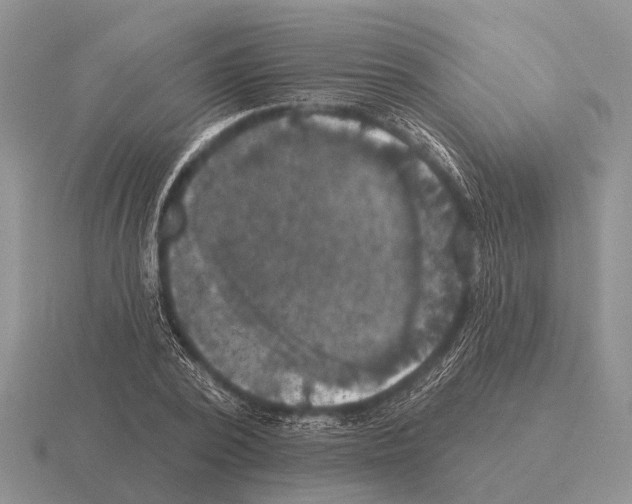 X0000115430784200912161433