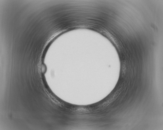 X0000115430787200912161433