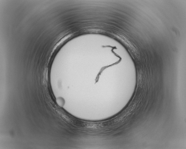 X0000115430790200912161433