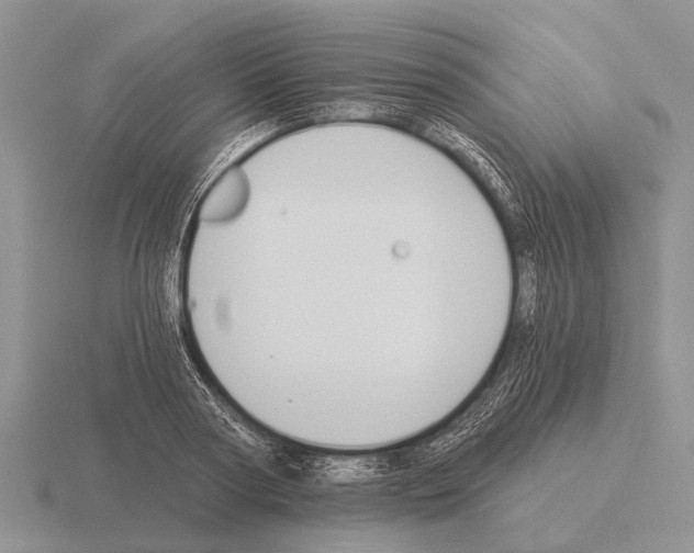 X0000115430794200912161433