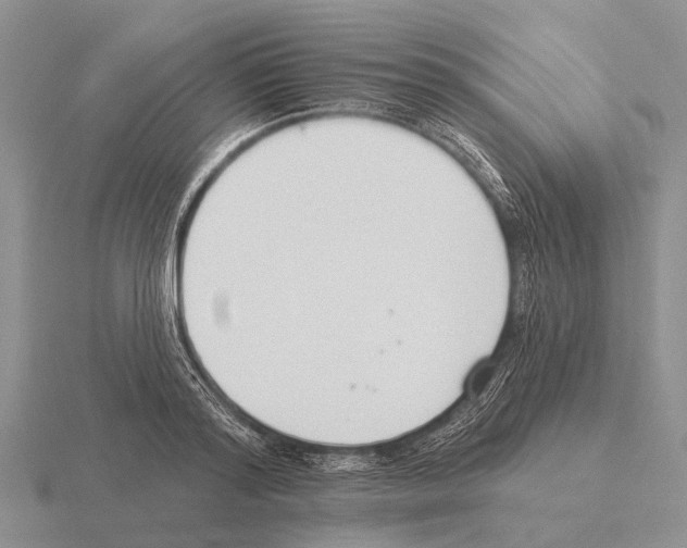 X0000115430796200912161433