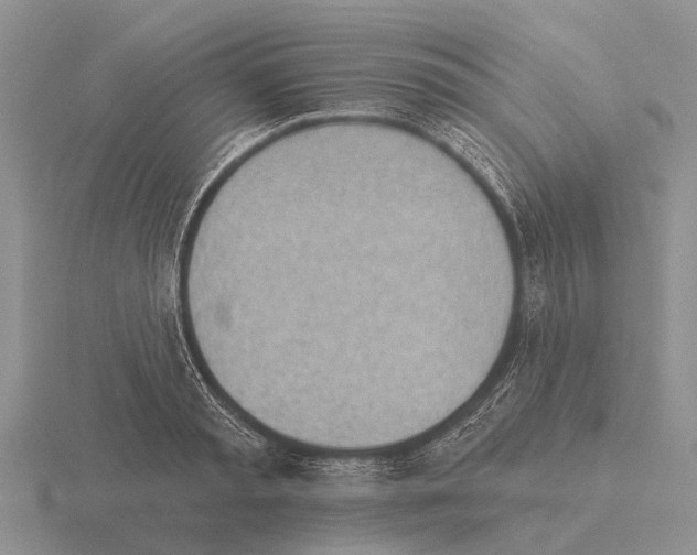 X0000115430797200912161433