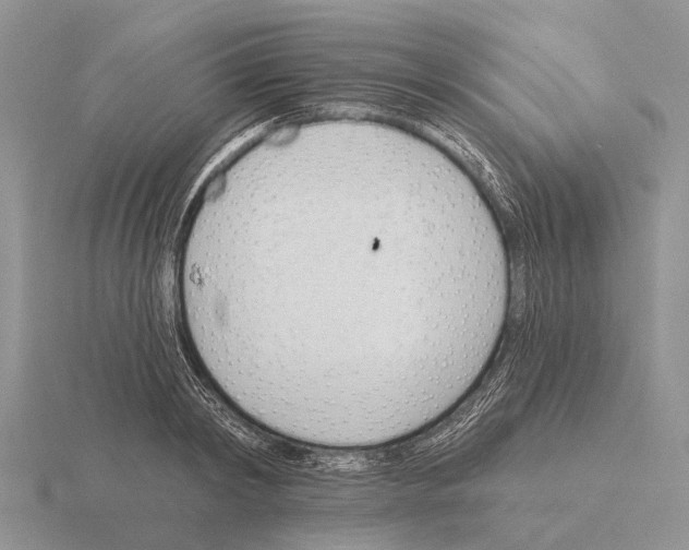 X0000115430798200912161433