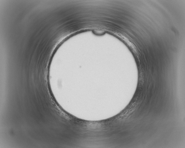 X0000115430799200912161433