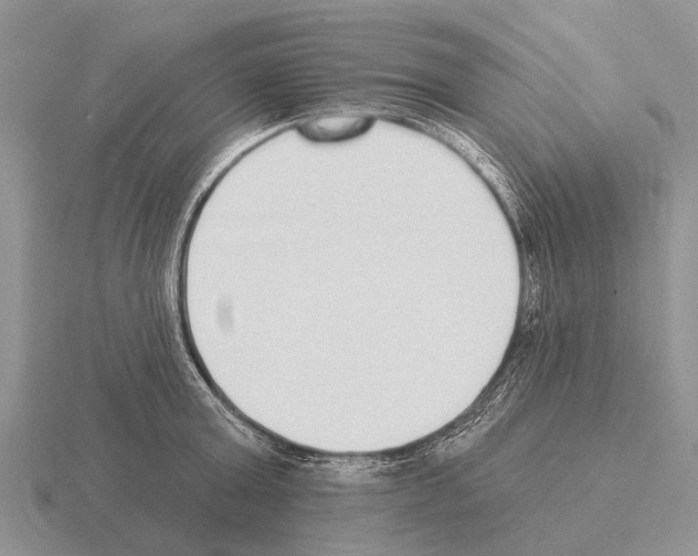 X0000115430803200912161433