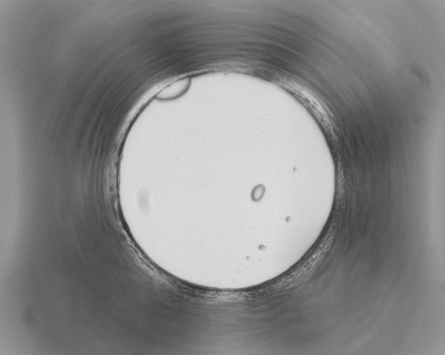 X0000115430808200912161433