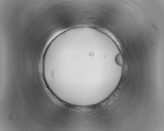 X0000115430811200912161433